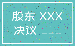 国税注销分公司股东决议