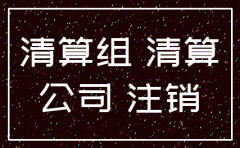 北京国税局注销公司股东会决议