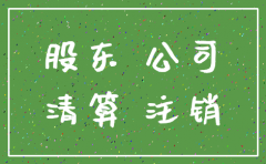 一个人公司注销原因怎么写