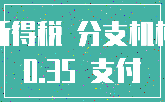 所得税 分支机构_0.35 支付