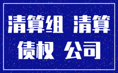 责任有限公司注销条件