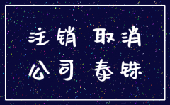 攀枝花公司注销代理