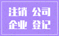 如何在网上申请公司注销