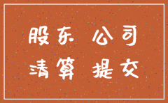一个人的有限公司注销股东决议