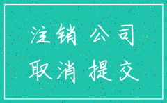 非公司分支机构注销表