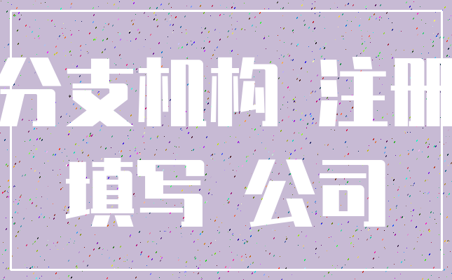 分支机构 注册_填写 公司