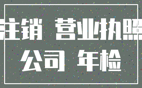 注销 营业执照_公司 年检