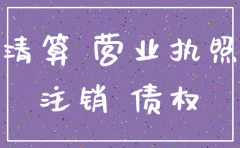 公司注销  债权转让协议