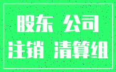 1人公司注销股东决定