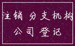 分公司注销同意资产费用化