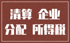 公司注销清剩余财产分配情况