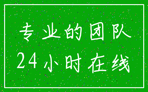 专业的团队_24小时在线