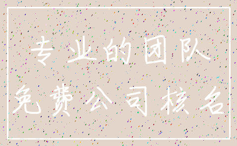 专业的团队_免费公司核名