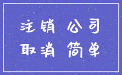 有限公司工商简易注销条例