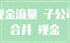 合并现金流量表子公司注销