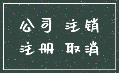 孵化器公司注销