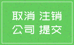 注销公司去哪登报