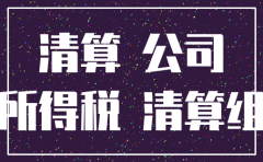 分公司注销资金总额怎么填