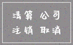 分公司注销的文件