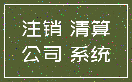 注销 清算_公司 系统