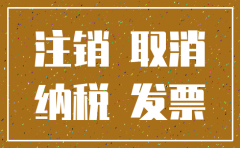 北京公司注销清算组备案是什么