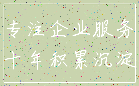 专注企业服务_十年积累沉淀