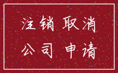 贵州省怎么简易注销分公司