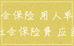 公司社保注销情况说明模板