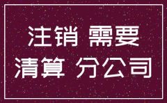 分公司注销流程需要几天