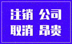 苏州市公司简易注销在哪个网站