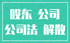 多个股东的公司注销