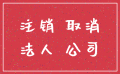 河南有限公司注销