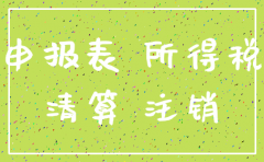 公司注销所得税清算表表样
