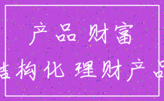 投资理财公司注销后的法律责任