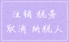 地税公司注销要清算报告吗