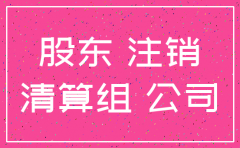 公司注销税务股东会决议怎么写