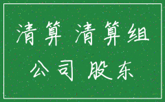 一人责任由限公司注销清算报告