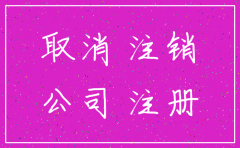 子公司注销证明