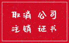 独立核算分公司注销流程及资料