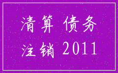 无营业一人公司注销清算报告