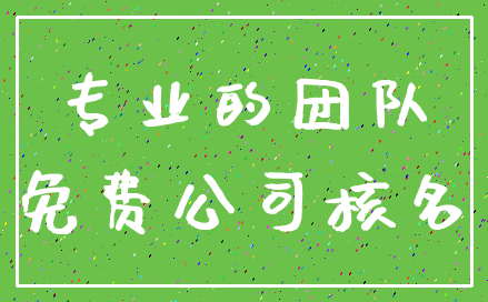 专业的团队_免费公司核名