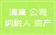 注销公司用的清账手册