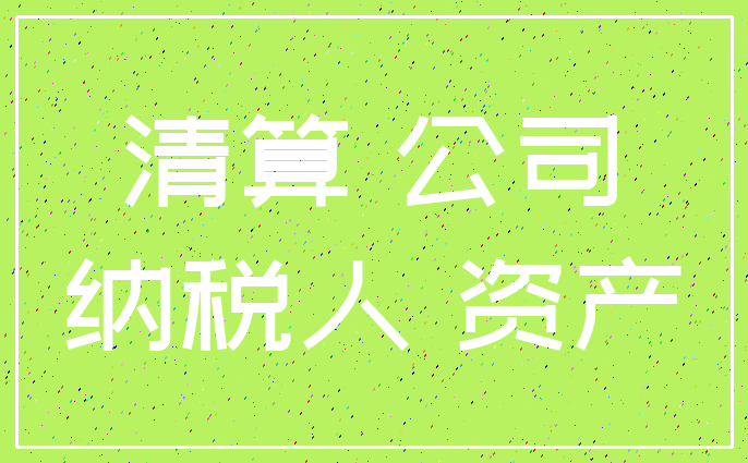 清算 公司_纳税人 资产