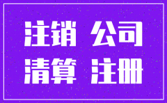 企业注销子公司