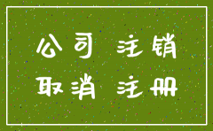 公司网上注销公示步骤