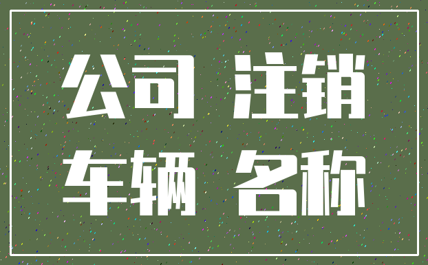 公司 注销_车辆 名称