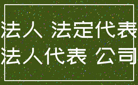 法人 法定代表_法人代表 公司