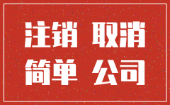 自然人公司注销情况说明