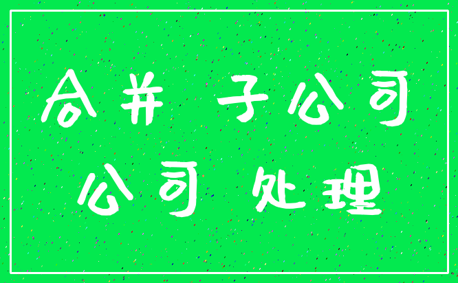 合并 子公司_公司 处理