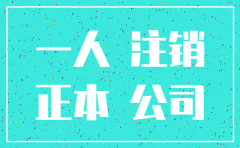 一人有限责任公司注销决定